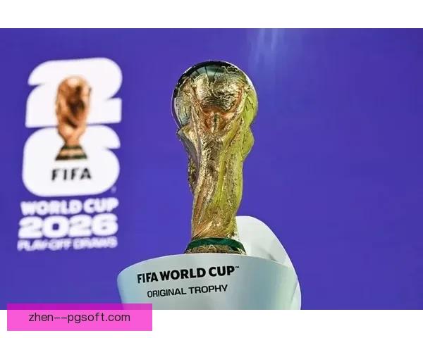 2026世界杯组委会宣布将在各大球场提供免费WiFi服务方便球迷连接网络